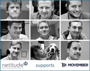 Netitude-team-web