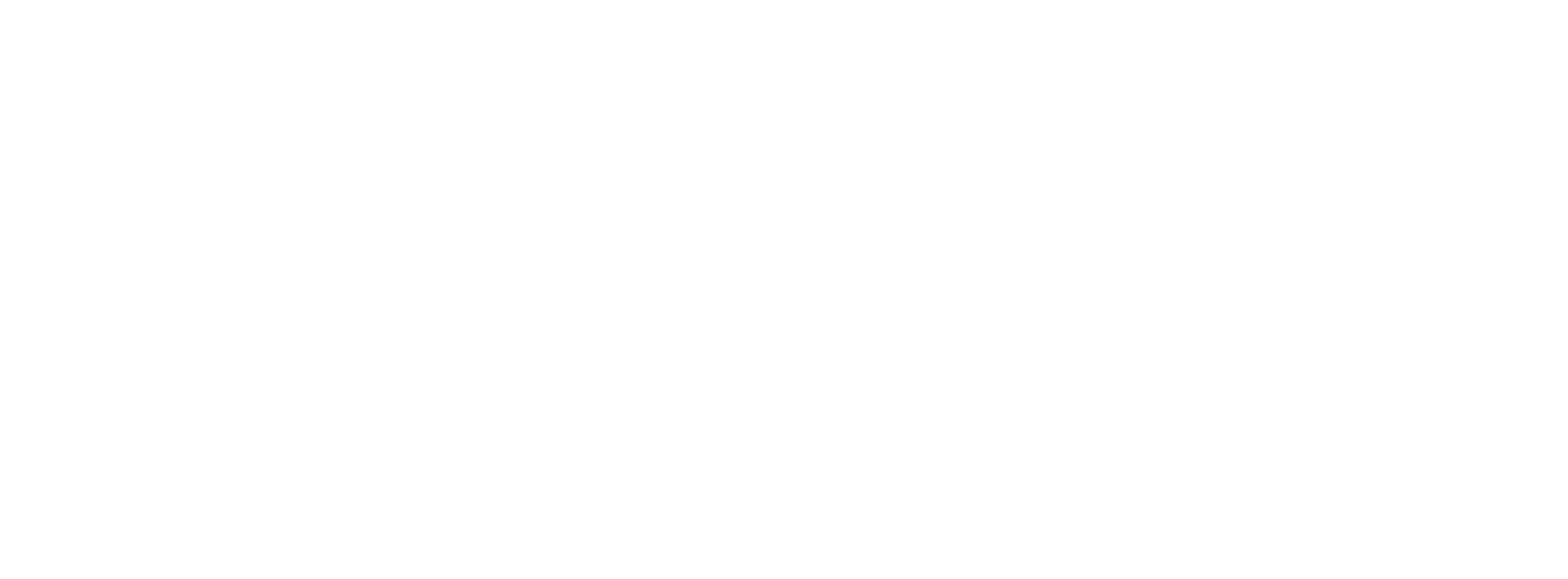 Net9-WO