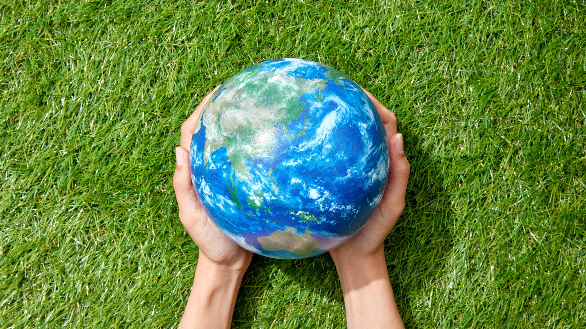 Photo of a globe in someone's hands against a green backdrop. 