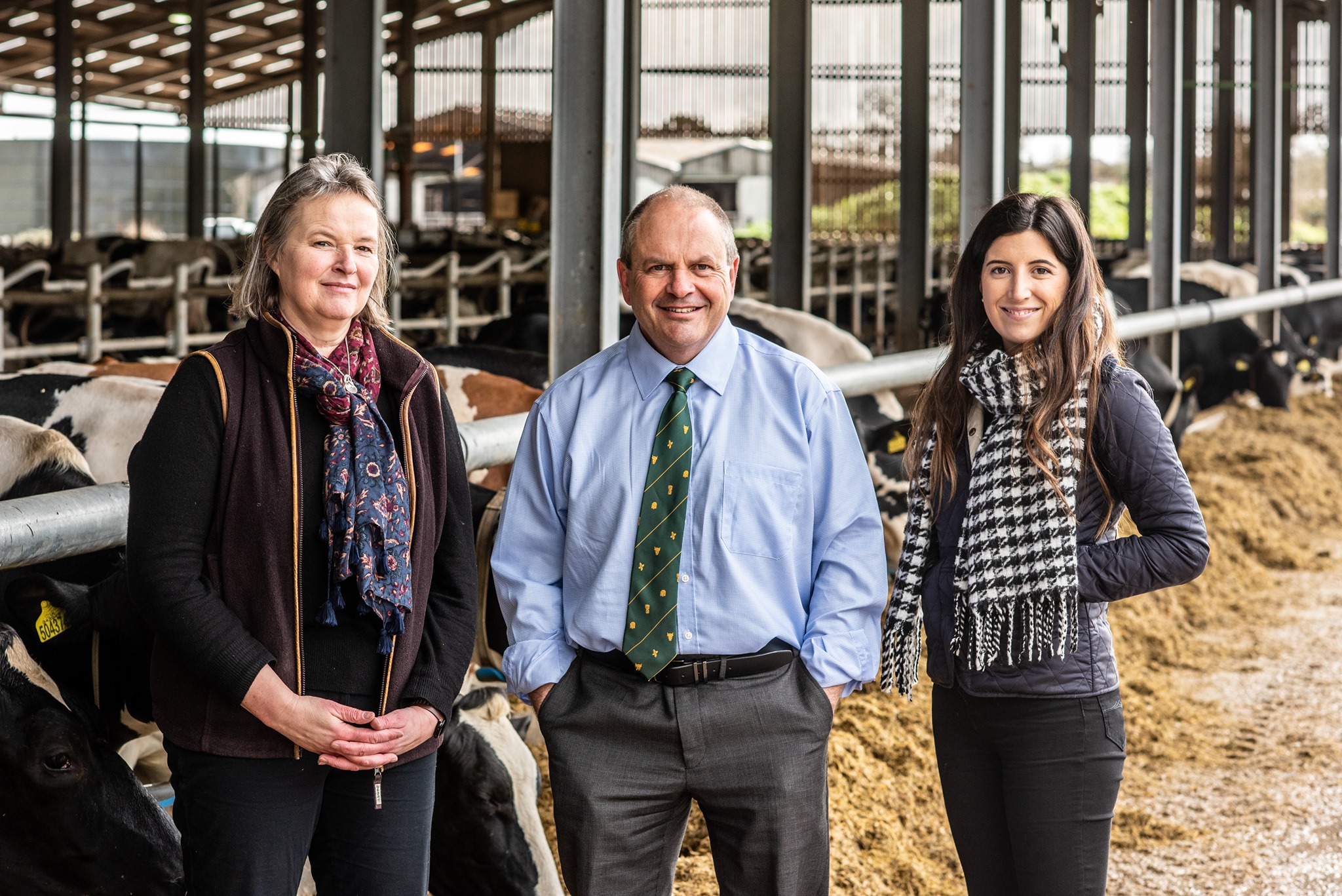 Team at Pat Tomlinson Accountancy stood together outside a cow shed