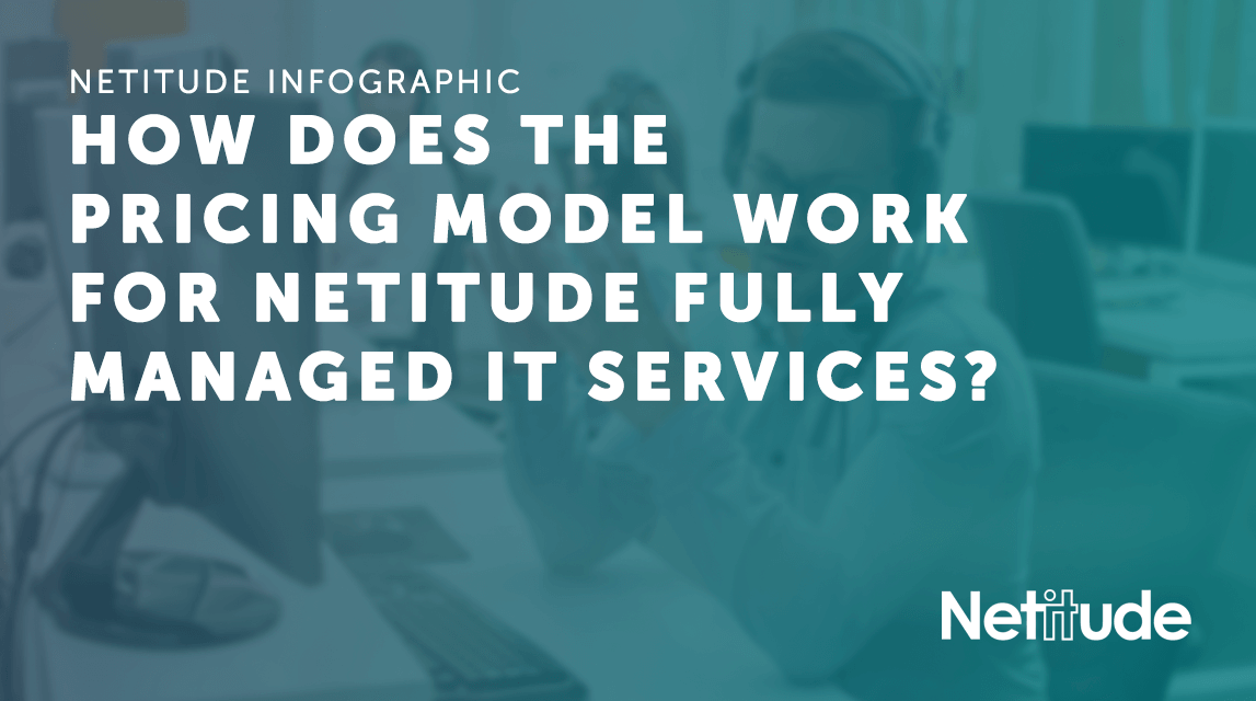 How does the pricing model work for Netitude fully managed IT services?